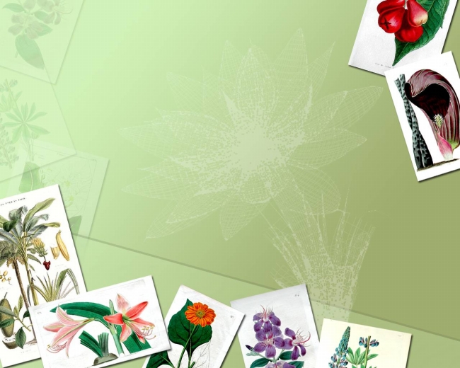 2022年出生的虎宝宝小名大全