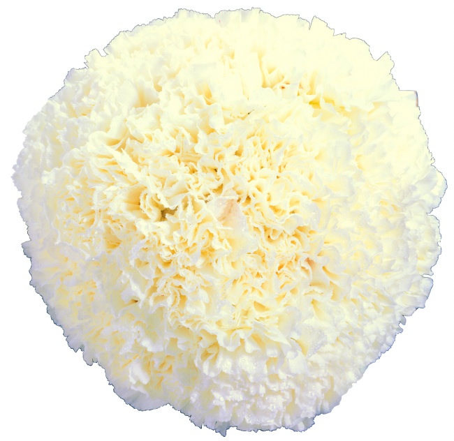 戚姓男孩名字大全两个字 寓意深刻的起名