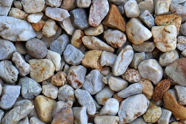 虎年出生的龙凤胎女孩取名 温婉有美感起名