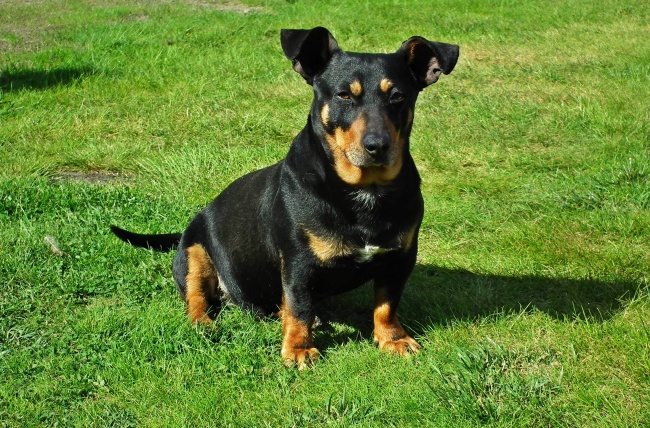 施姓2021年男宝宝的名字 洋气的起名大全