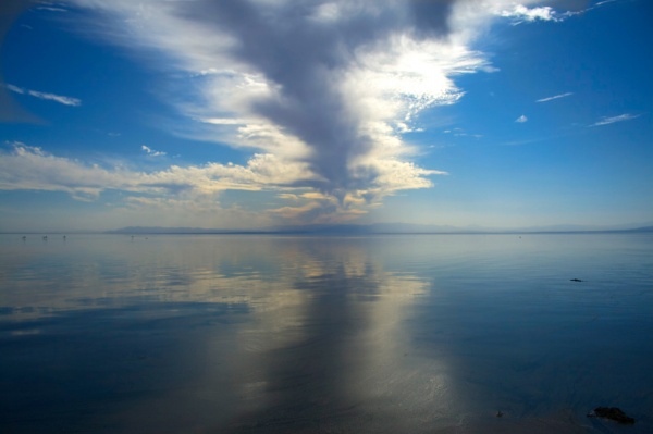 报考学校 这些星座会果断选择大城市