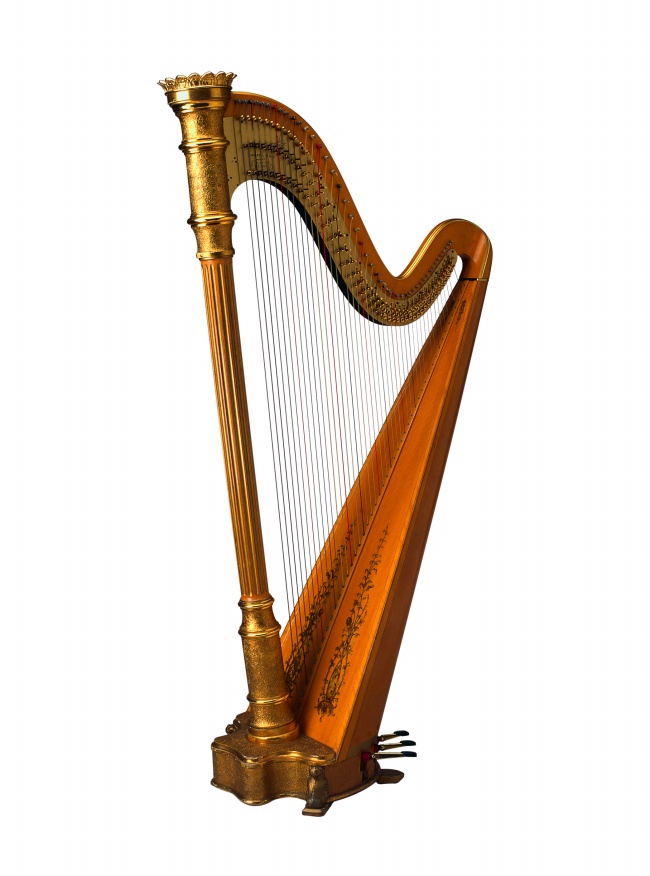 虎年出生的人取名 优雅的有内涵的