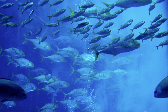 姓华女孩富贵名字 三个字的起名大全