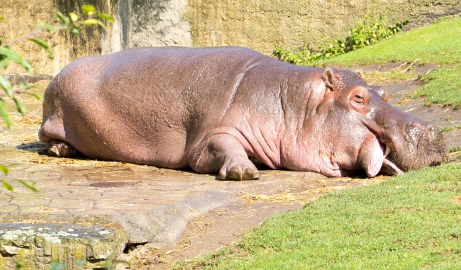 你说呢?最烦别人反复问问题的四大星座