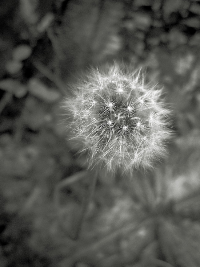 属虎宝宝名字大全 农历十二月出生吉祥的好名