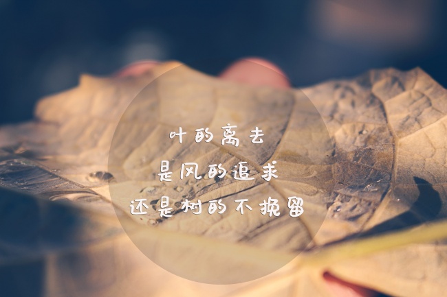 虎年出生的孩子怎么起名 大气的优雅的