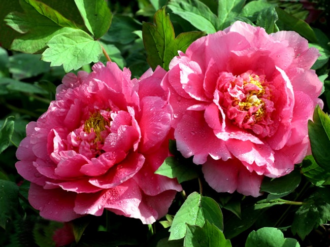 巨蟹座男生和天蝎座女生在一起会怎样 合适吗