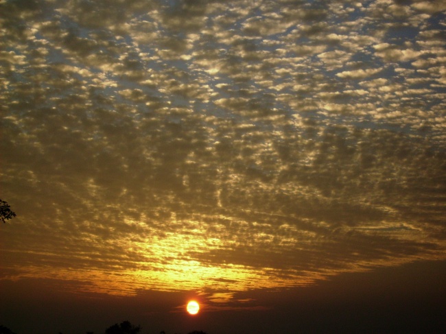 女孩子姓金取什么名字好 取名大全集