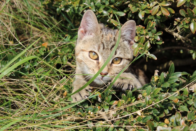韦姓男孩取什么名字2021年 男宝宝起名方法