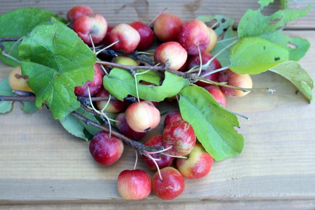 狂月天时 十二星座每日运势9月16日