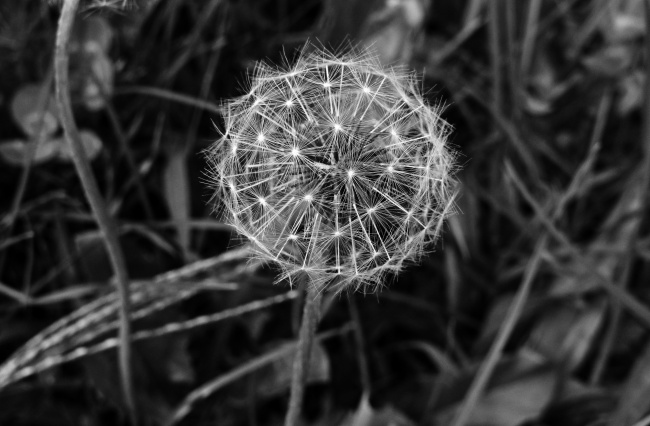 姓漕女宝宝取名大全 悦耳动听的名字