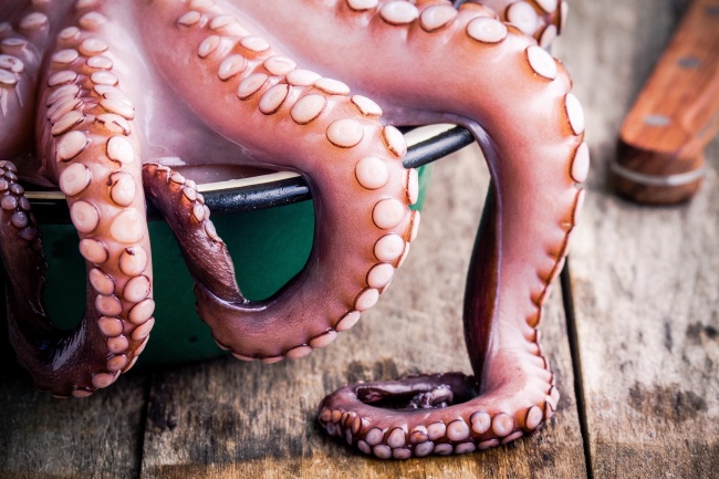 江姓宝宝起名字大全 悦耳动听的名字