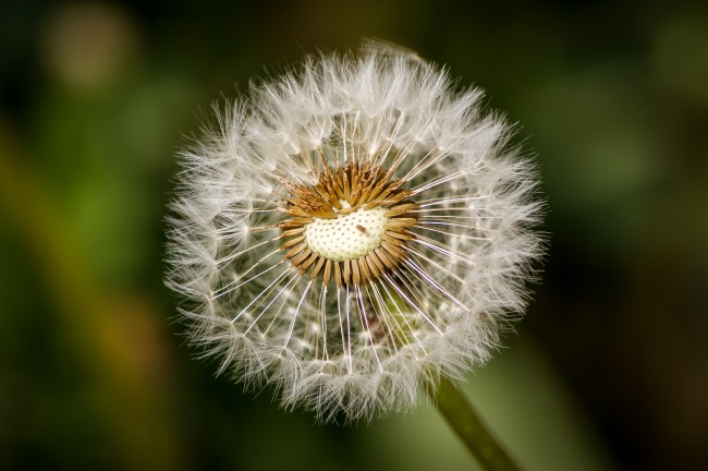 漕姓女孩子有仙气的起名 名字大全