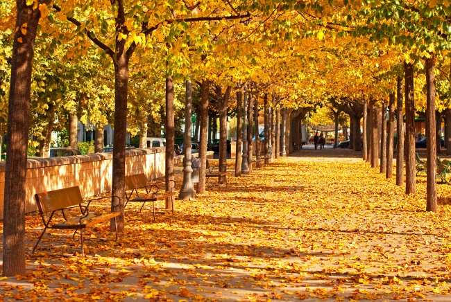 江姓男宝宝牛年起什么名字 三个字起名合集