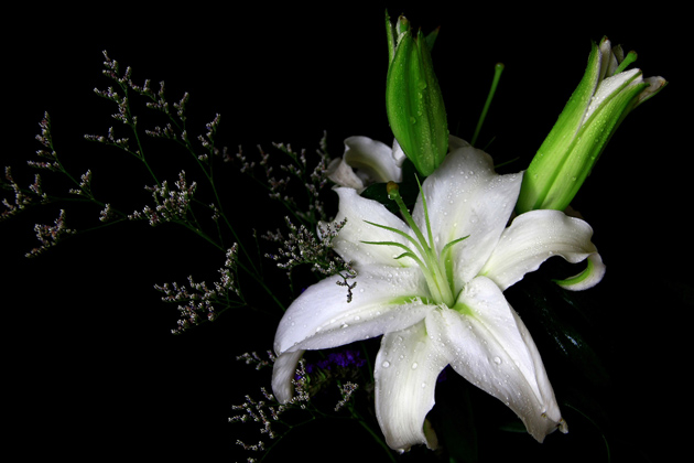 天秤座男生和双子座女生般配吗 配对指数是多少