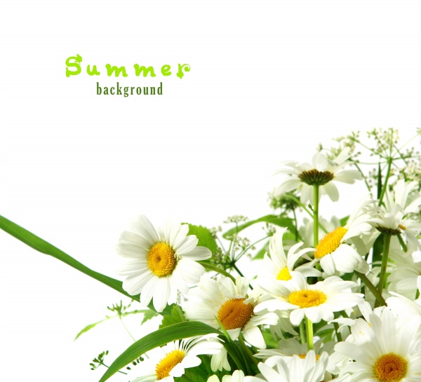 姓江的女孩2021年起名 取名宜用字