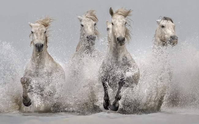 未来一个月 正财偏财双双来袭 大收获的3星座