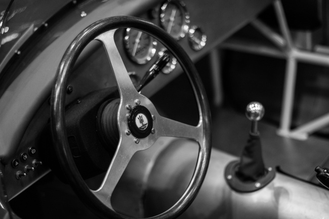 为什么不能惹狮子座 斗志昂扬的雄狮