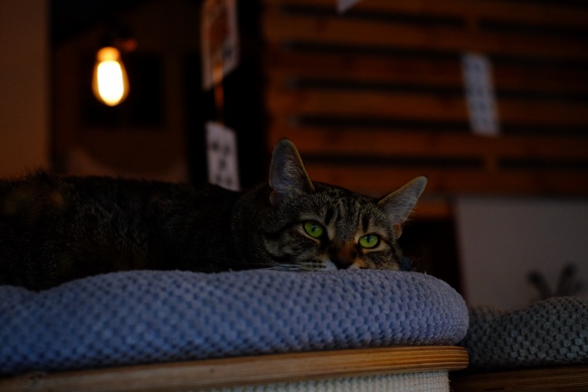 艾菲尔 十二星座一周运势最新9.27-10.3