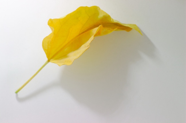 感情路坎坷,最易被烂桃花缠身3个星座女,越爱越伤!