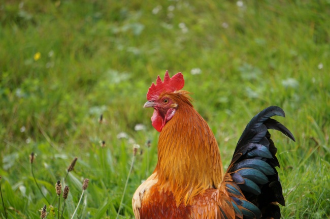 最垃圾最没本事的星座