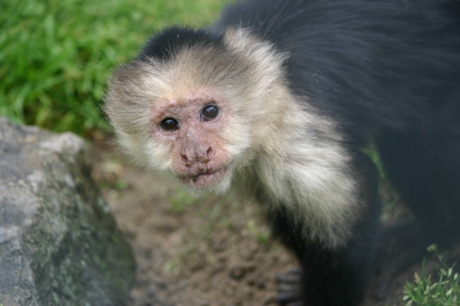 烂桃花缠身?十二星座中哪几个星座烂桃花最多