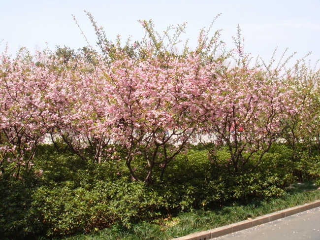 天生就聪明的六大星座 创造能力很强的星座