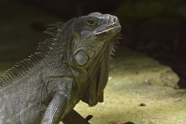 星座十月份,最易招惹烂桃花的星座