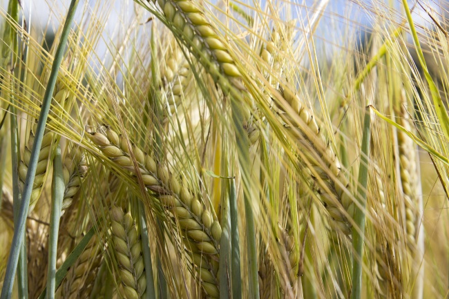 嘴巴镶金 这种星座说话精简不多说一个字