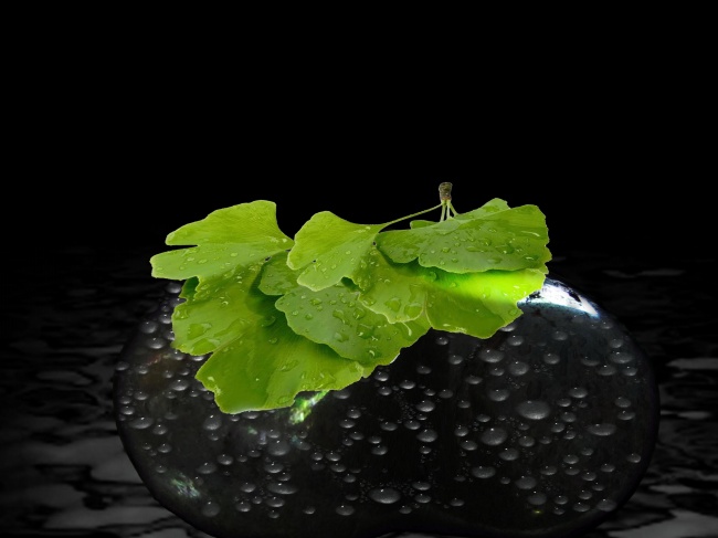 属马摩羯男对爱的女人是什么样的