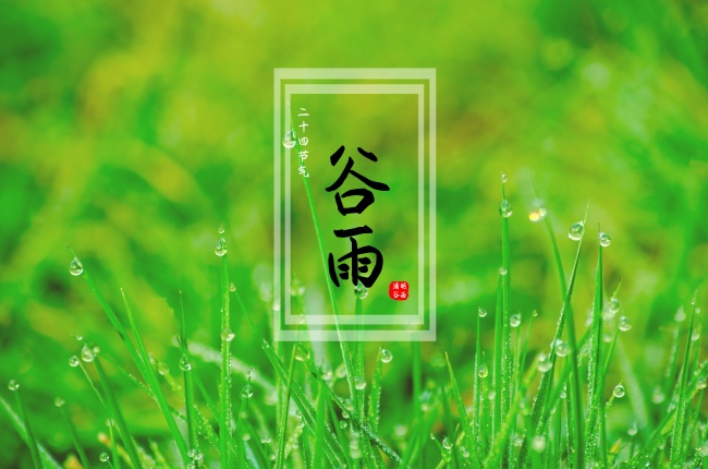 属蛇白羊座和属龙处女座性格分析