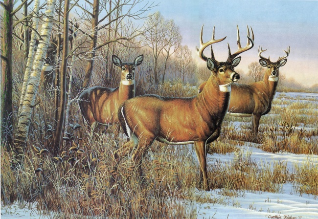 天秤座男生和射手座女生般配吗 配对指数是多少