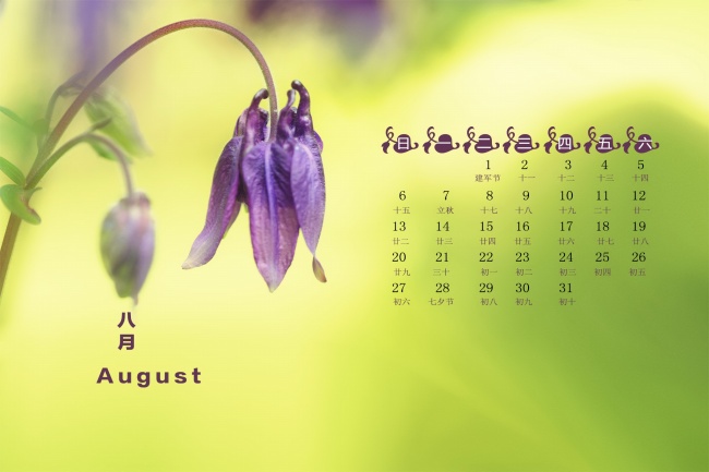 婚礼上 新娘捧花的选择与搭配