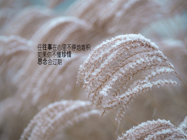 2021年重大星象 2021年日月食时间表