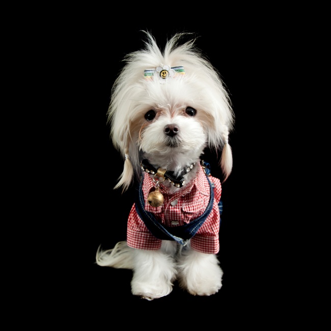 水瓶座男和双鱼座女该怎么谈恋爱 情侣指数有多少