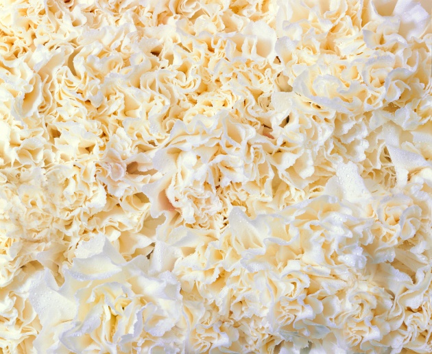 属鸡双鱼男对待爱情的态度 吃哪一套