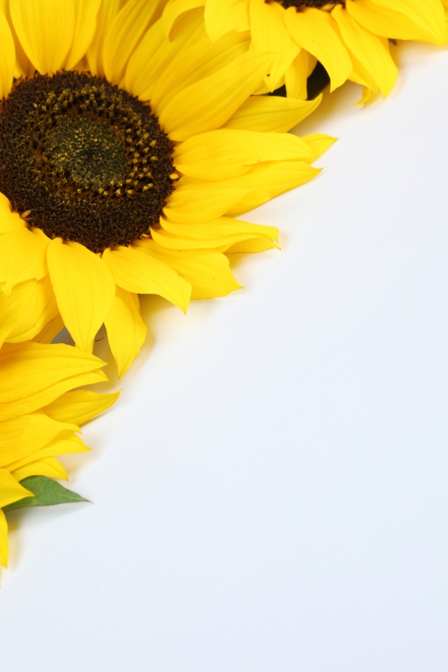 喜欢差遣男友 这些星座女经常让男友帮自己