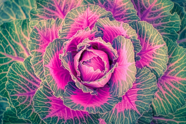 海王星冲日2020时间表 能用肉眼看到吗