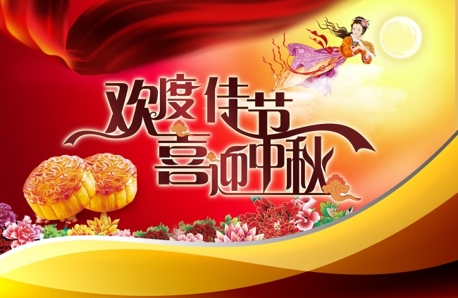 多肉世界最萌担当 李夫人系生石花