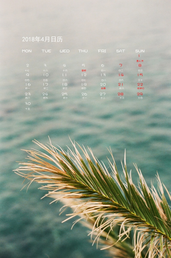 今年英仙座流星雨时间 2020地点