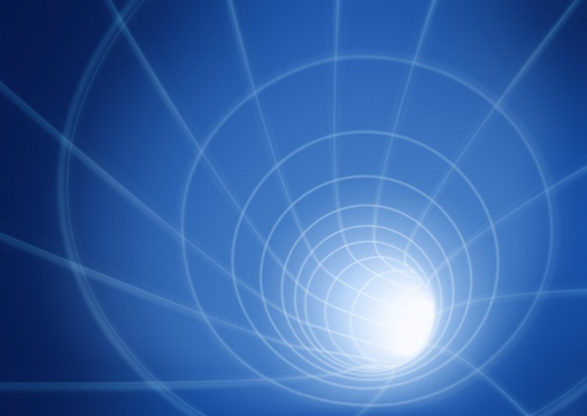 不需要阳光 也能常青的小植物