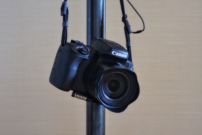 纯真无邪 刚柔并济丁香花