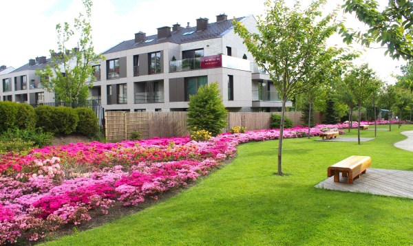 玫瑰花语 不同颜色不同的寓意