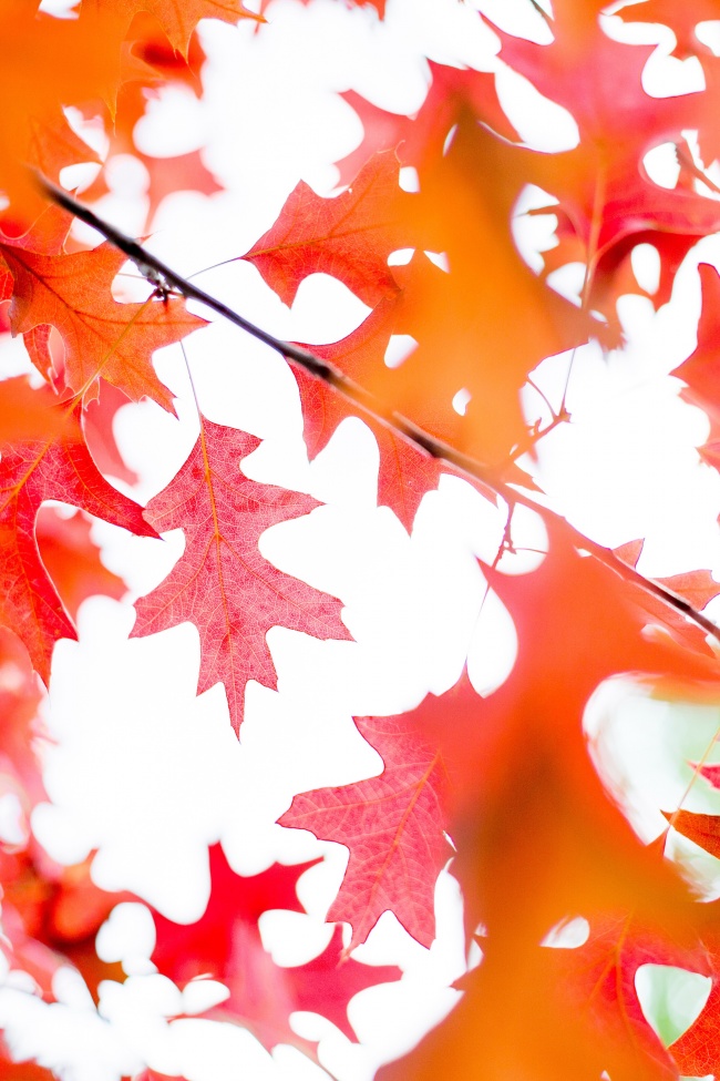 下个月感情不顺,这些星座小心遇到烂桃花