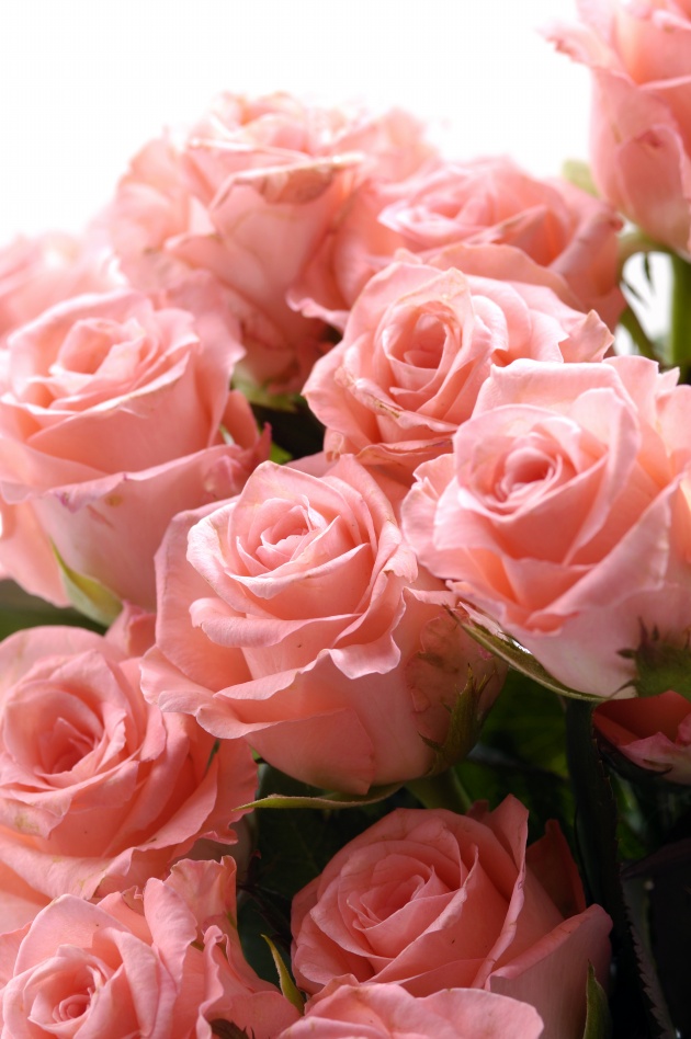 2022年10月,运势回归有偏财进账的星座