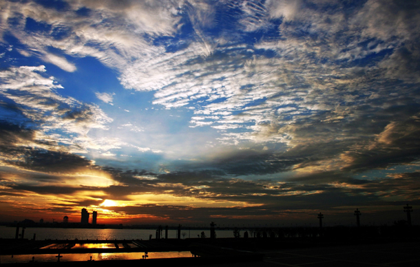 代表幸福与小美好 格桑花