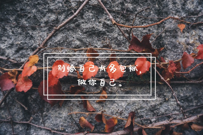 宁愿打字慢也不太喜欢讲电话的星座