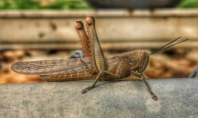 10月下旬桃花运强势来袭 烂桃花居多的3星座