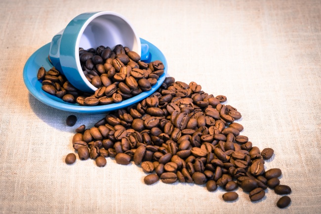 下一次狮子座流星雨爆发 最大一次什么时候