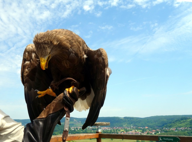 巨蟹座男生和狮子座女生在一起会怎样 合适吗